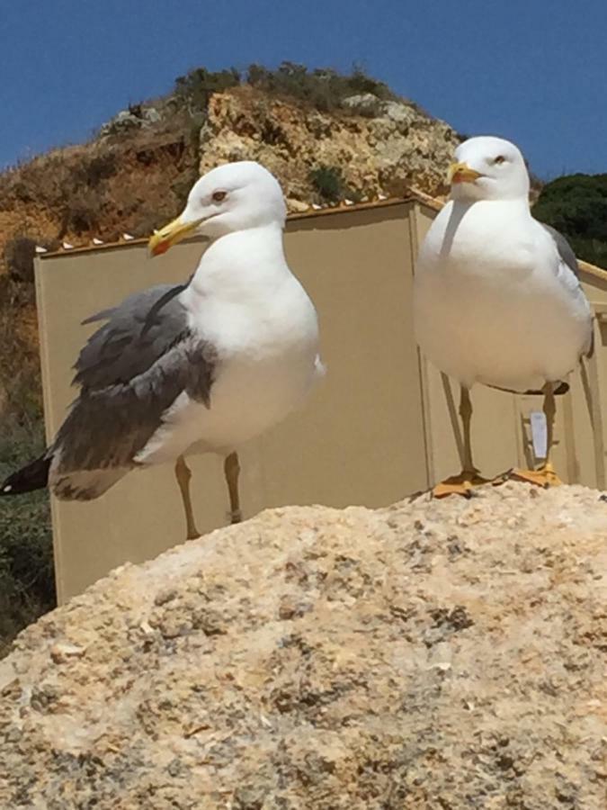 Apartment In Algarve,Виламура Экстерьер фото